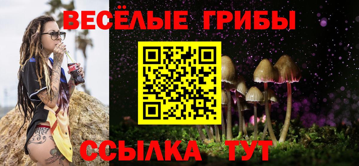 Куйбышев  Галлюциногенные грибы Psilocybe  Вход с VPN 